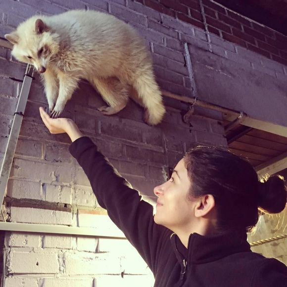 Meet your Posher, Valerie - Picture 1 of 1